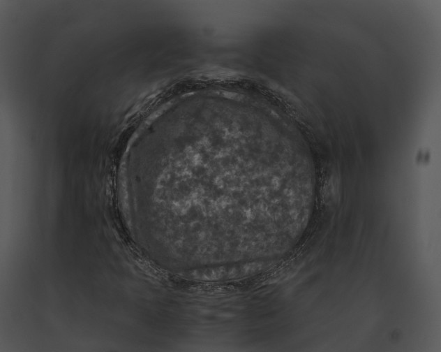 X0000091201397200708301551