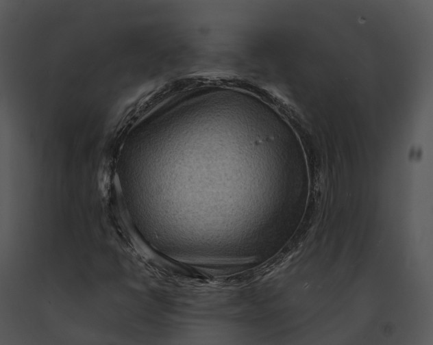 X0000091201398200708301551