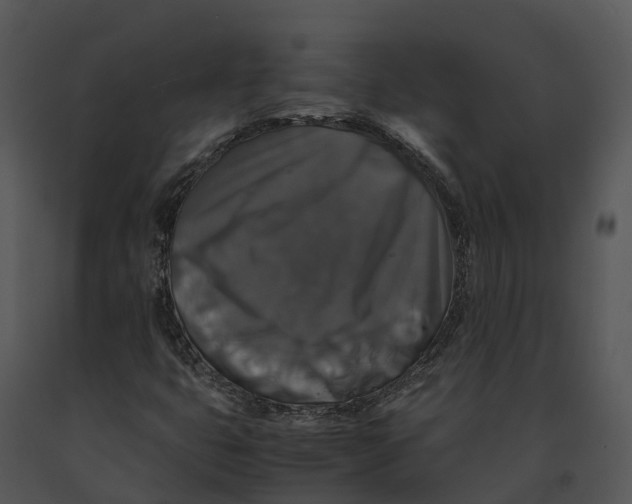 X0000091201399200708301551