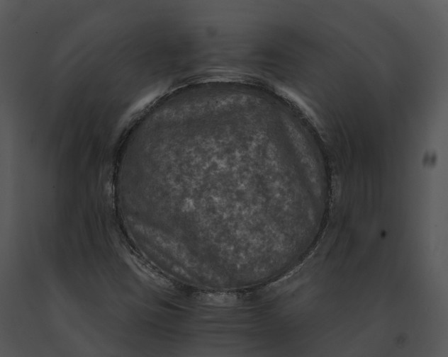 X0000091201403200708301551