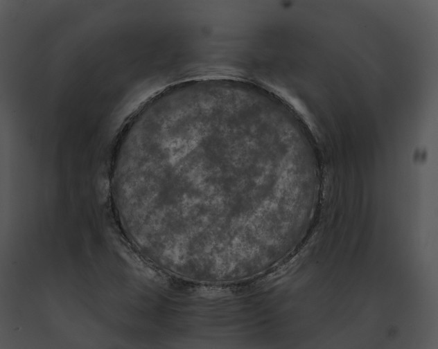 X0000091201407200708301551