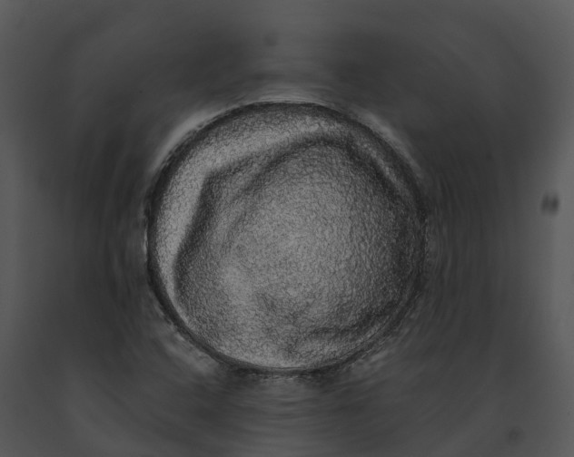 X0000091201408200708301551