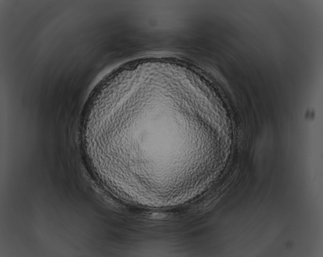 X0000091201412200708301551