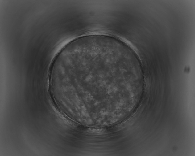 X0000091201415200708301551