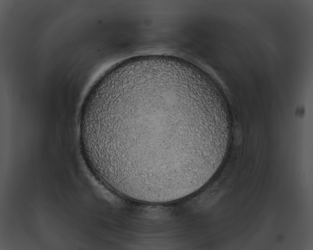 X0000091201416200708301551