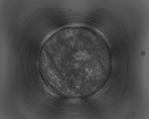 X0000091201417200708301551