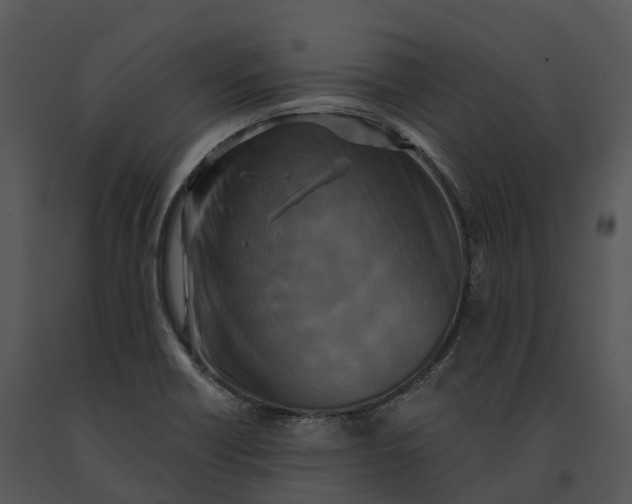X0000091201418200708301551