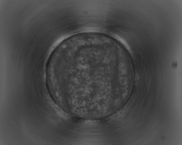 X0000091201419200708301551