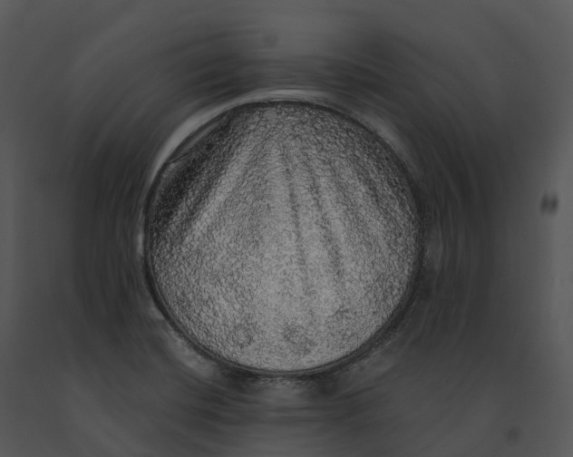 X0000091201420200708301551