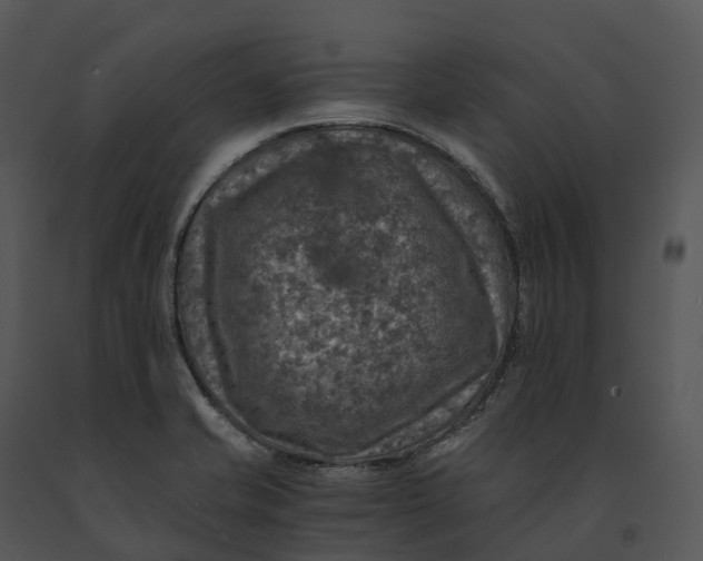 X0000091201421200708301551