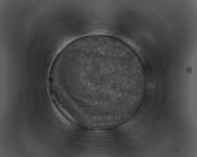 X0000091201423200708301551