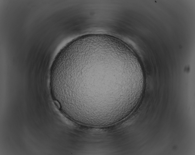 X0000091201424200708301551