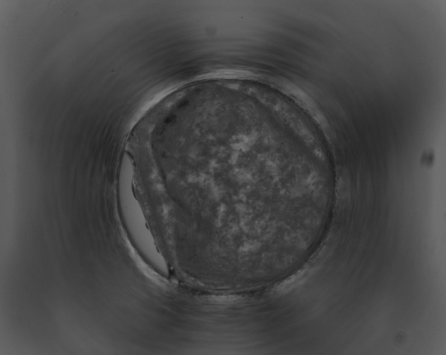 X0000091201425200708301551