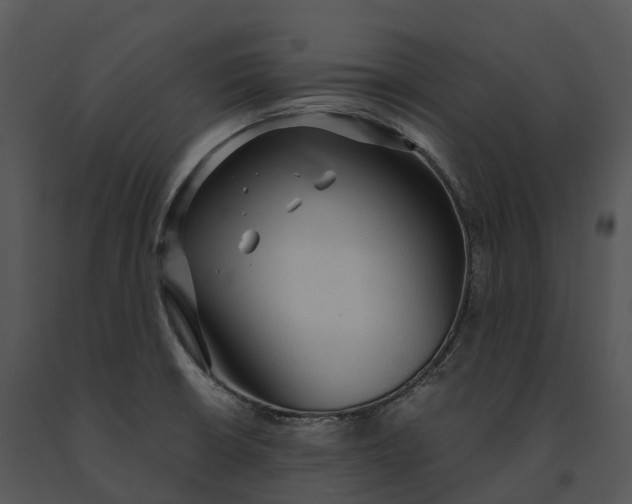 X0000091201426200708301551