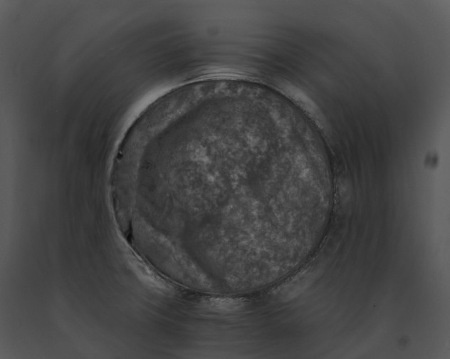 X0000091201427200708301551
