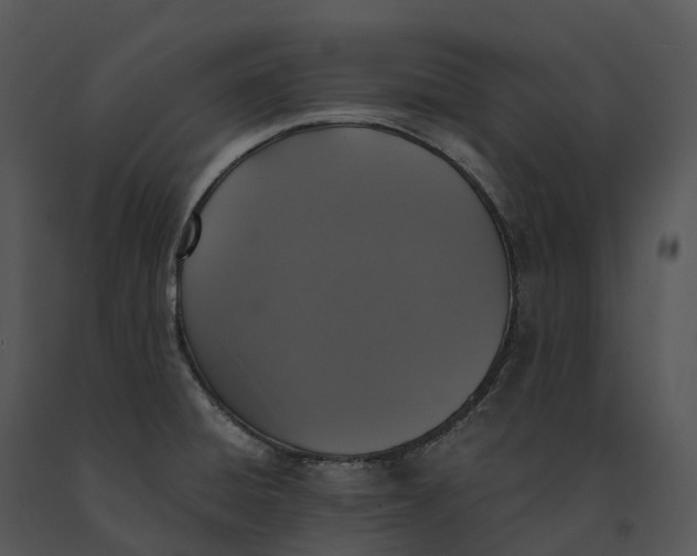 X0000091201428200708301551