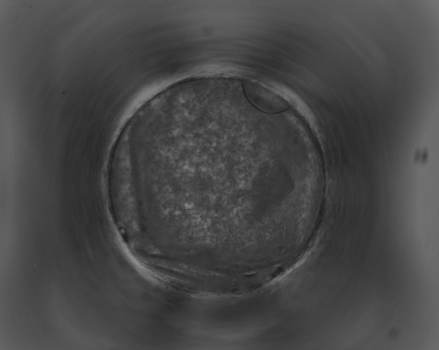 X0000091201429200708301551