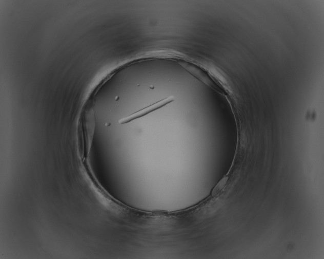 X0000091201430200708301551