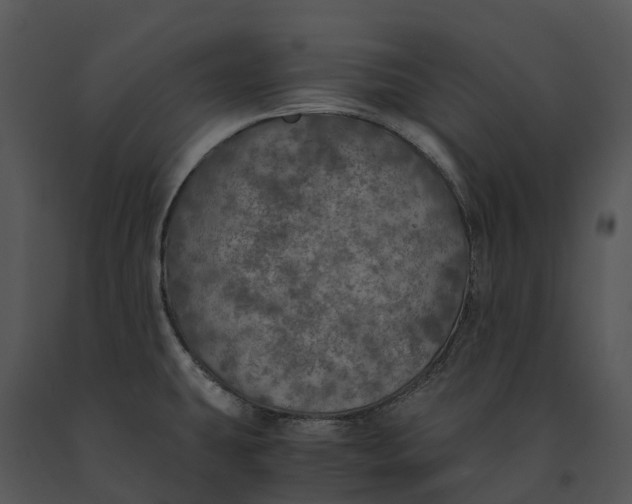 X0000091201431200708301551