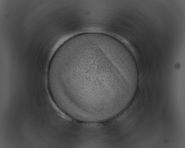 X0000091201432200708301551
