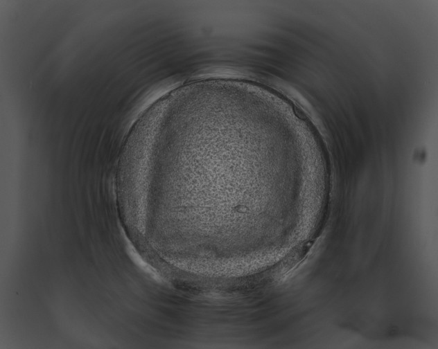 X0000091201433200708301551