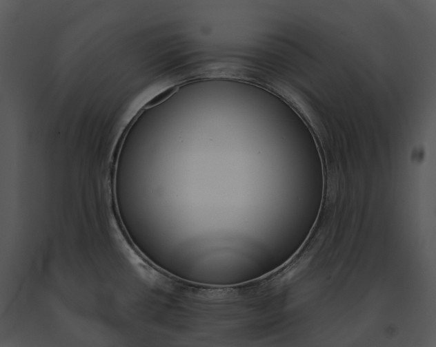X0000091201434200708301551