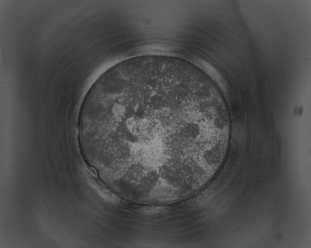 X0000091201435200708301551