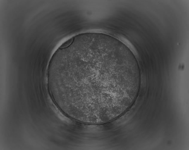 X0000091201436200708301551
