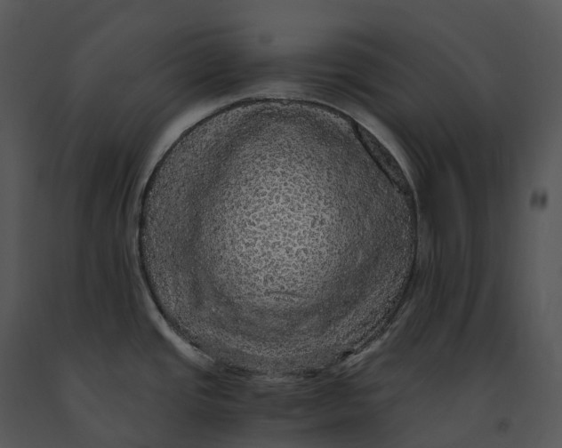 X0000091201437200708301551