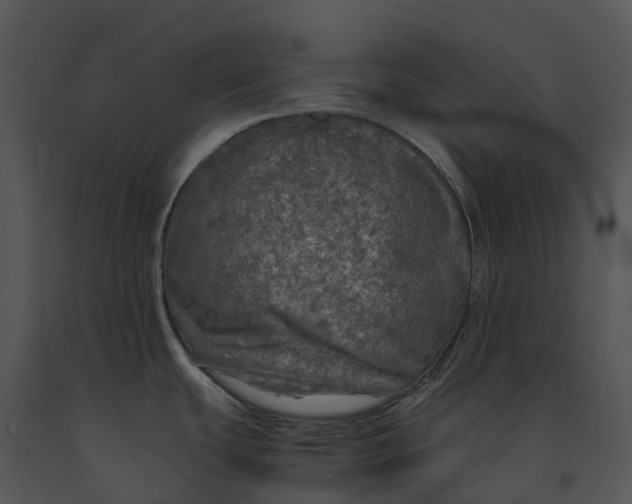 X0000091201439200708301552