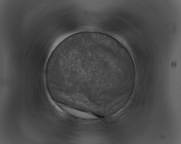 X0000091201440200708301552