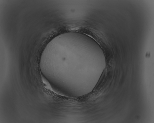 X0000091201441200708301551