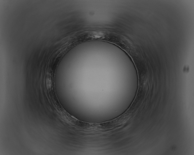 X0000091201442200708301551