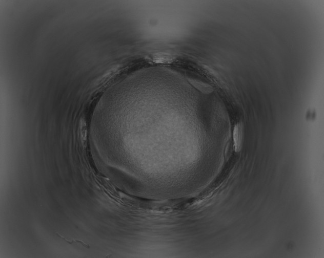 X0000091201443200708301551