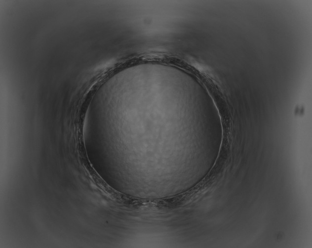 X0000091201445200708301551