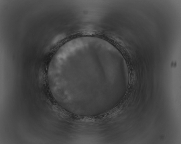 X0000091201446200708301551