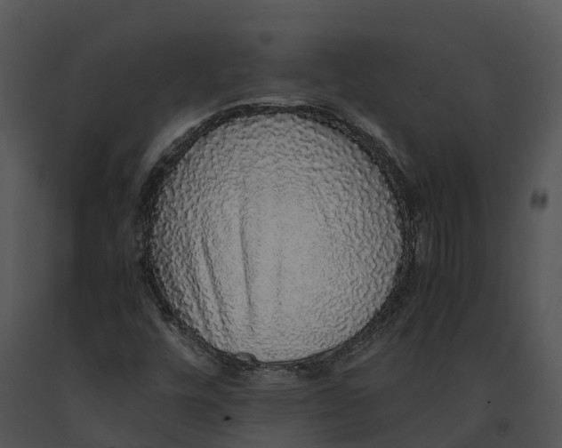 X0000091201448200708301551