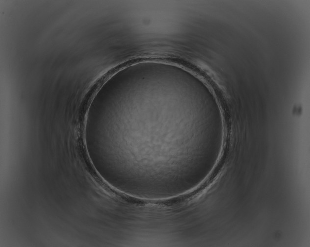X0000091201449200708301551