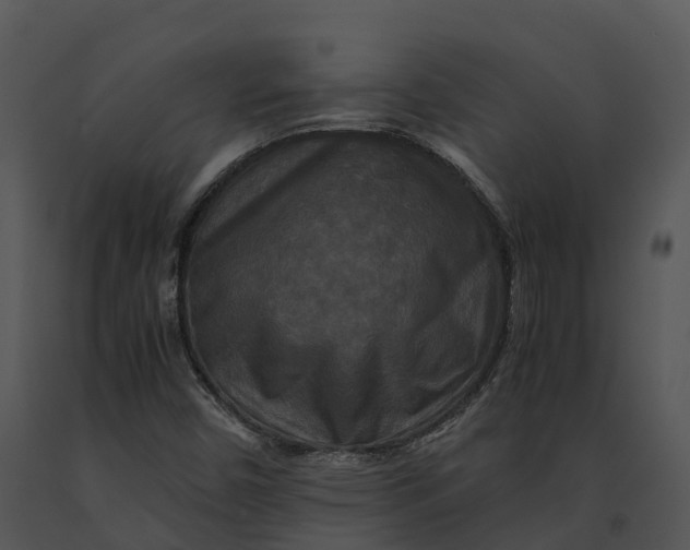 X0000091201450200708301551