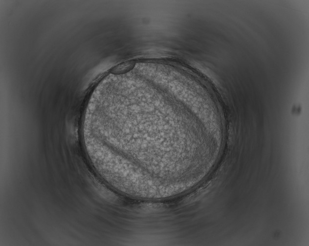 X0000091201451200708301551