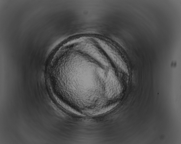 X0000091201452200708301551