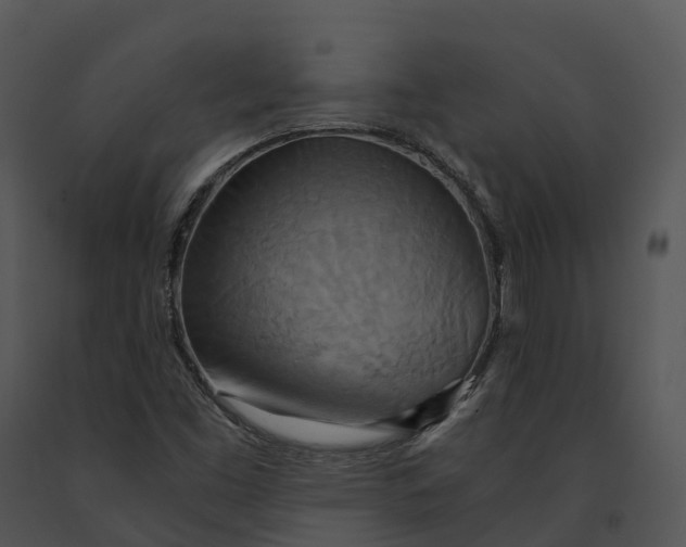 X0000091201453200708301551
