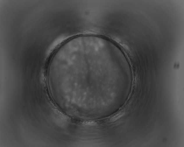 X0000091201454200708301551