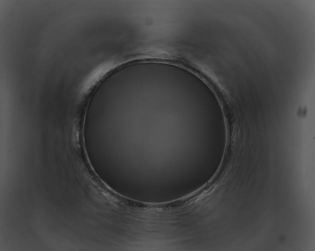 X0000091201455200708301551