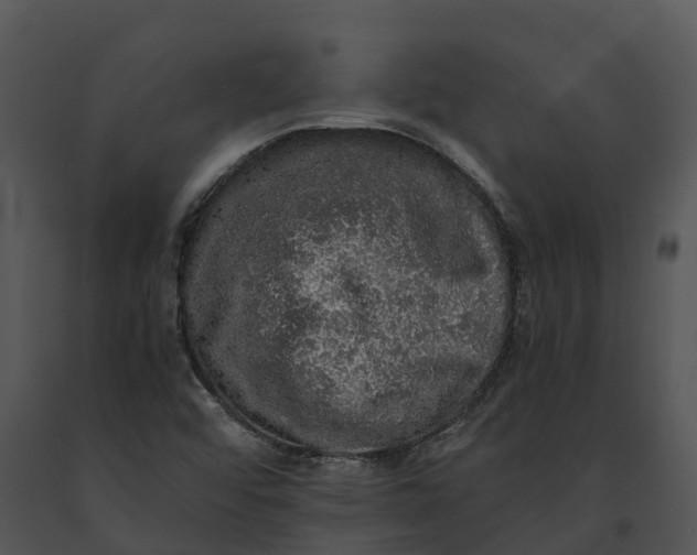 X0000091201456200708301551