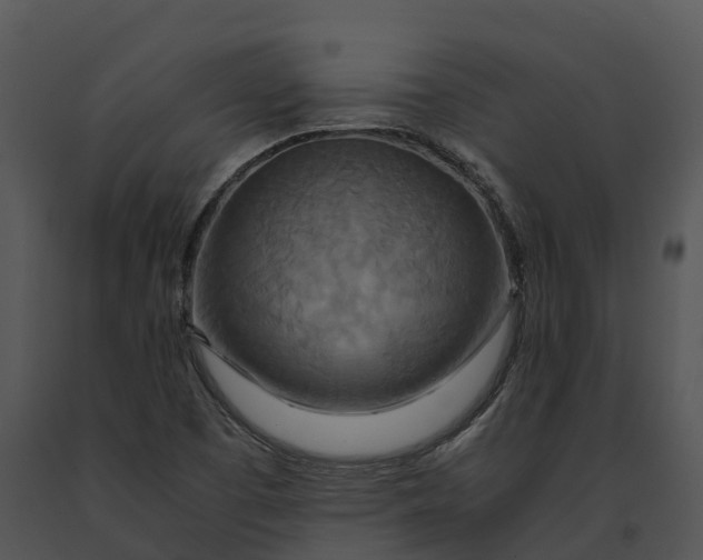 X0000091201457200708301551