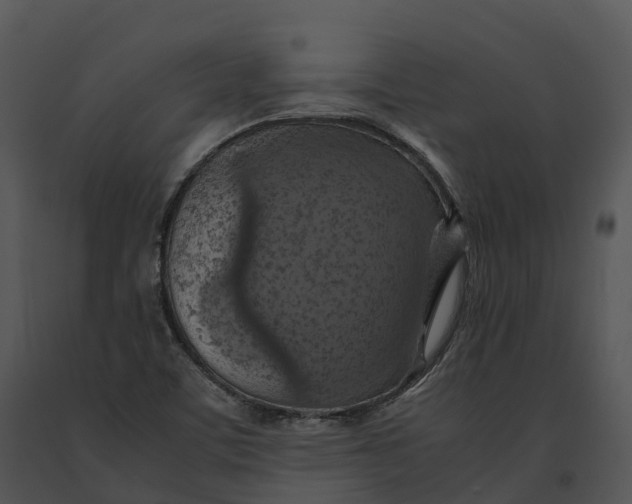 X0000091201459200708301551
