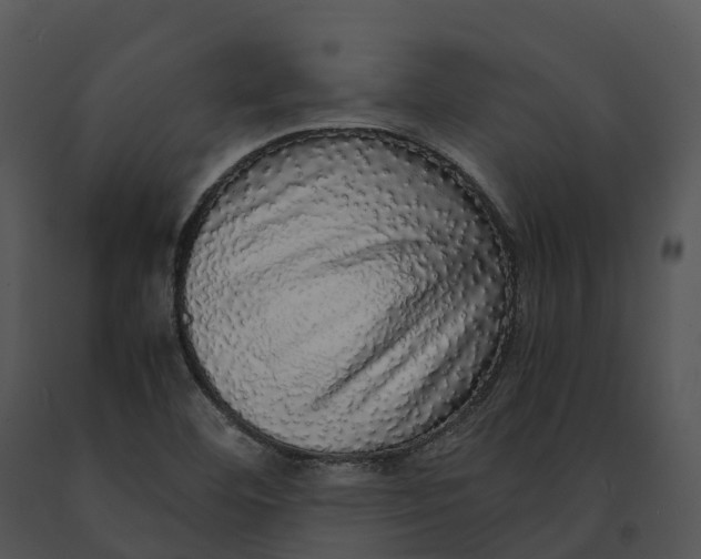X0000091201460200708301551