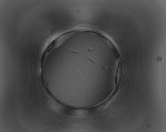 X0000091201461200708301551