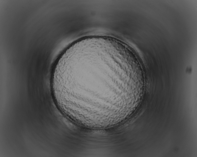 X0000091201464200708301551